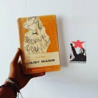 Image of Daisy Manis