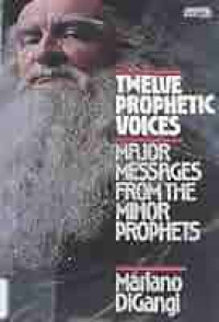 Image of Twelve Prophetic Voices Major Messages From The Minor Prophets
