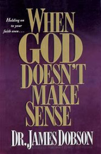 Image of When God Doesn't Make Sense